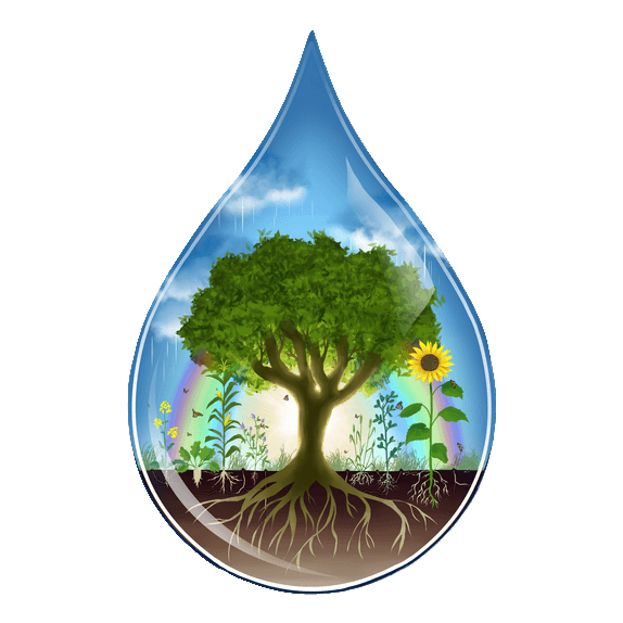 Official icon of the 'Cap Climat 53' group designed by Adèle LEFEUVRE - Illustrator - All rights reserved